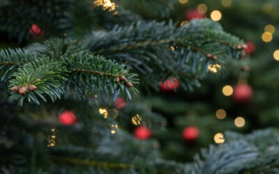 Openingstijden feestdagen