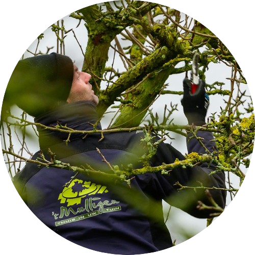 Vacature hovenier